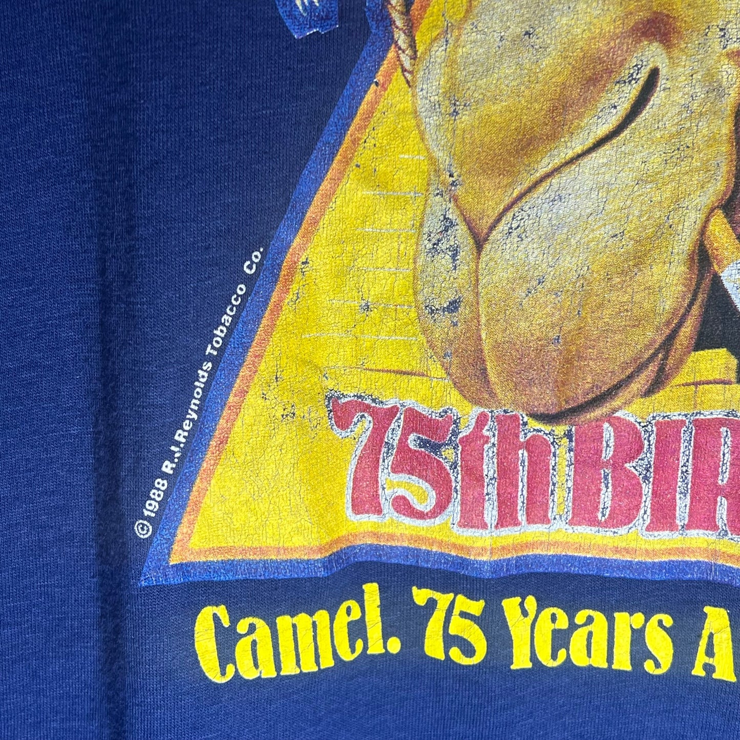 Golden Camel: 75th Anniversary Classic Tee